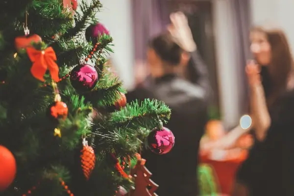 8 tasks every business owner should do during holidays - ProAdvisor CPA